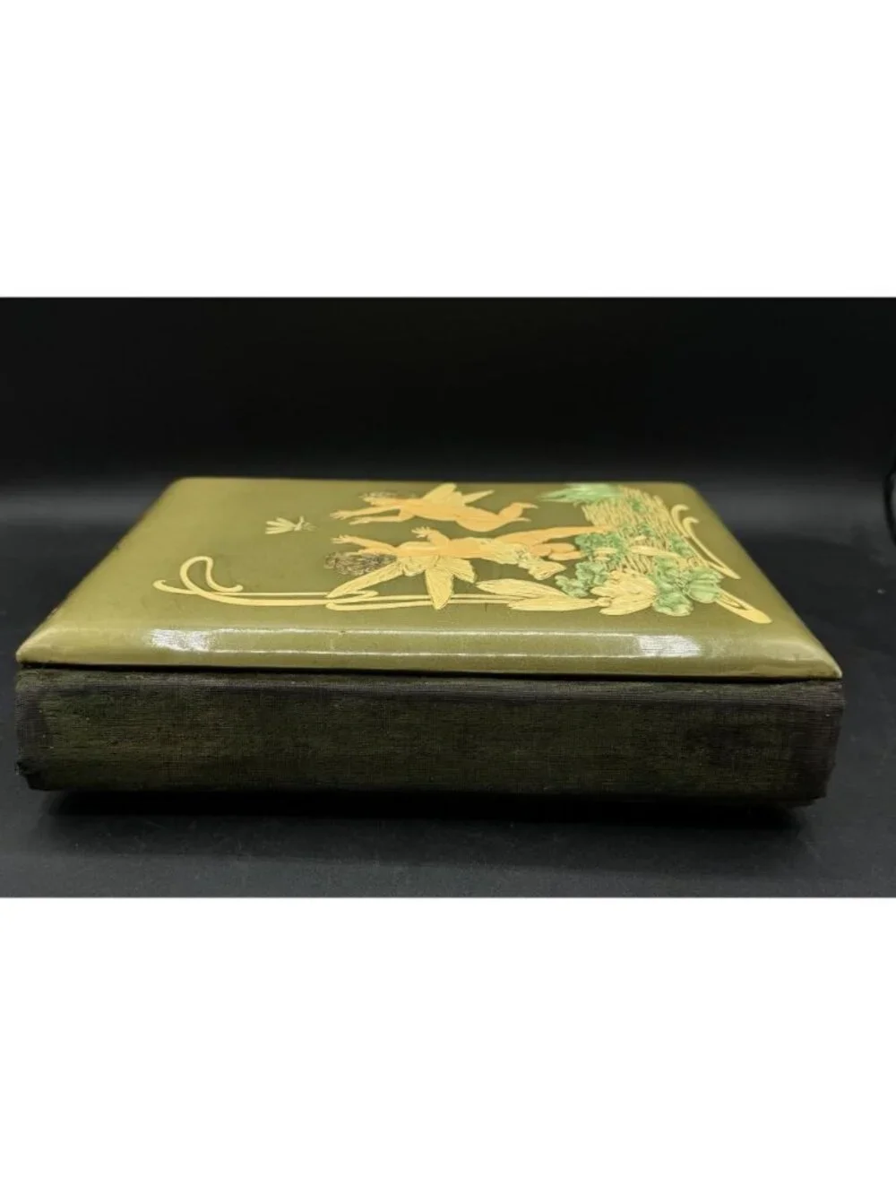 Victorian Green Celluloid Cherubs Dragonfly Photo Album Antique No Latch READ